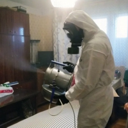 Дезинфекция от клопов в Кудрово
